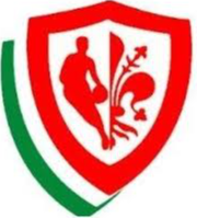 皮诺佛罗伦萨 U19 