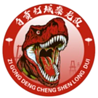 自贡灯城燊龙队